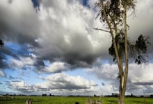 爆冷出局！郑钦文止步澳网第二轮央视新闻客户端.