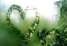 爱游戏：[国际足球]十人应战扛到最后 勒沃库森加冕双冠王.